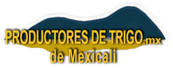 Productores de Trigo